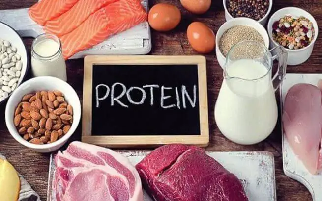 Read more about the article PROTEIN